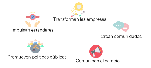 acciones b corps