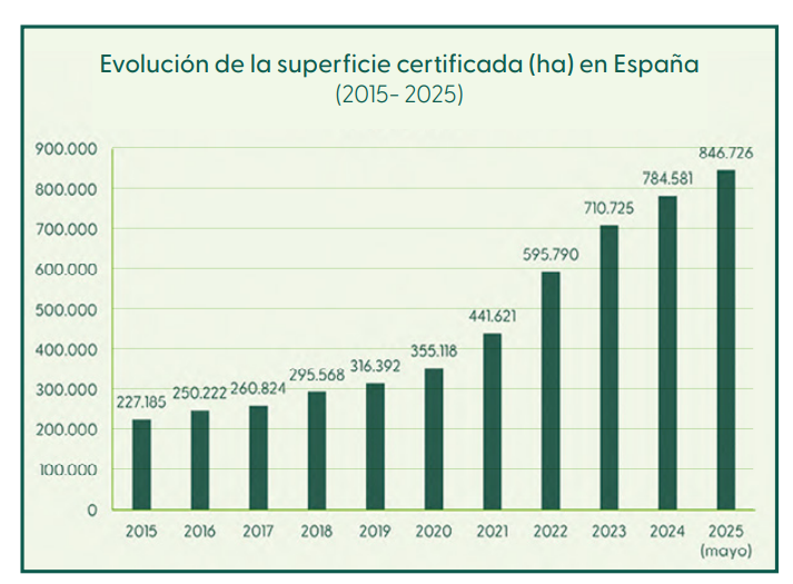 Superficie certificada FSC en España